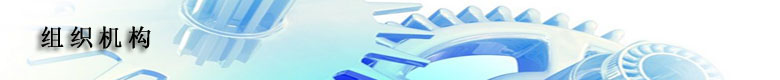 组织机构.jpg